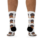 Rottweiler Puppy Poly Socks