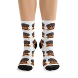 Rottweiler Puppy Poly Socks