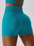 Wide Waistband Slim Fit Sports Shorts